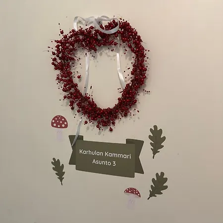 Karhulan Kammari, Oma Sisaeaenkaeynti Ja Wc, Keskusta Affittacamere